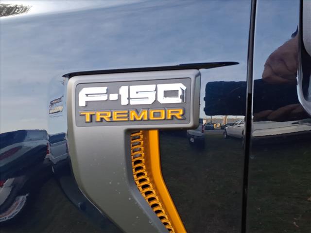 2025 Ford F-150 Tremor - Photo 6