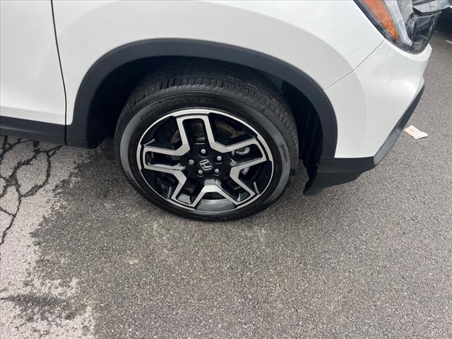 2023 Honda Passport Elite