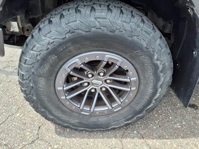 2019 Ford F-150 Raptor - Photo 21