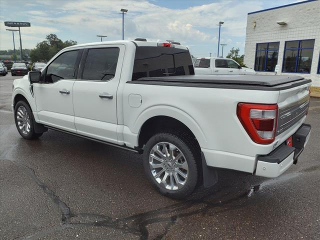 2021 Ford F-150 Limited - Photo 3