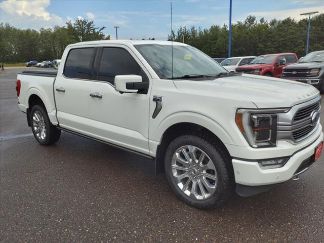 2021 Ford F-150 Limited - Photo 8