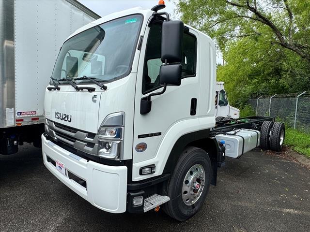 2025 Isuzu MT6 FTR Cab Chassis 224