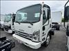 2024 Isuzu NPR 176 AT