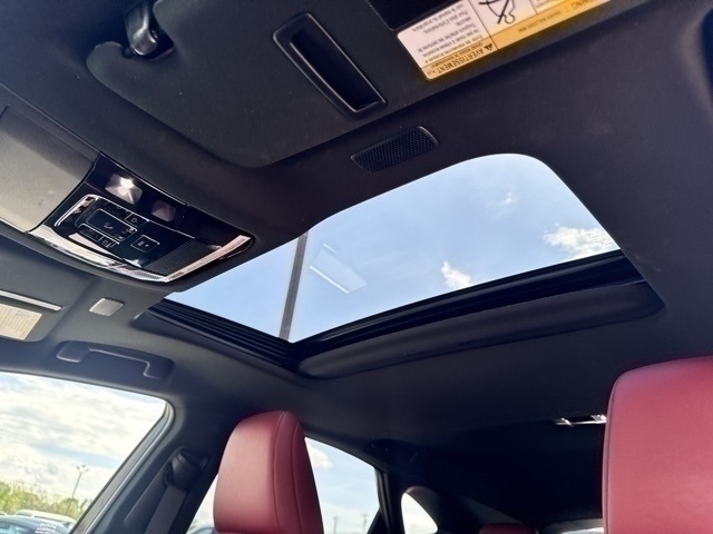 2024 Lexus NX 350h Premium