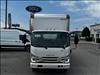 2024 Isuzu NQR Regular Cab