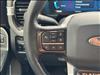 2023 Ford F-350 Super Duty Platinum