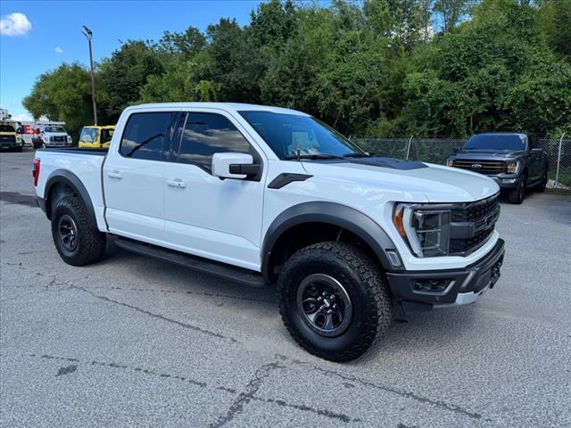 2021 Ford F-150 Raptor
