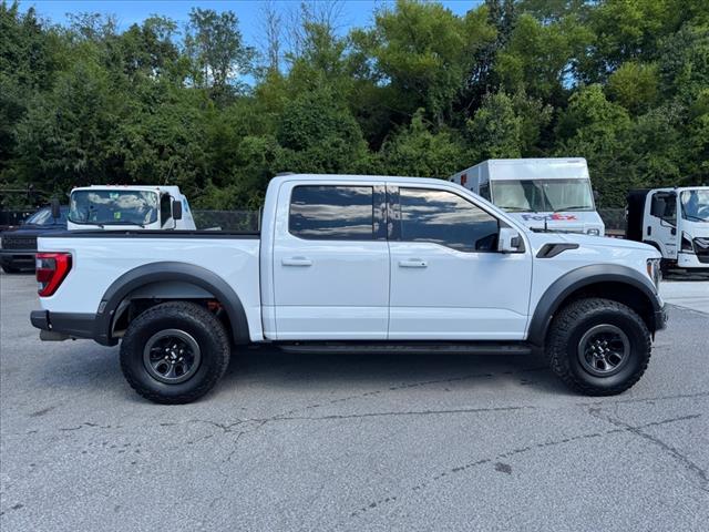 2021 Ford F-150 Raptor