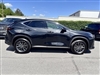 2024 Lexus NX 350h Premium