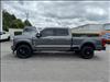 2023 Ford F-350 Super Duty Platinum