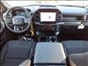 2025 Ford F-150 STX - thumbnail 6
