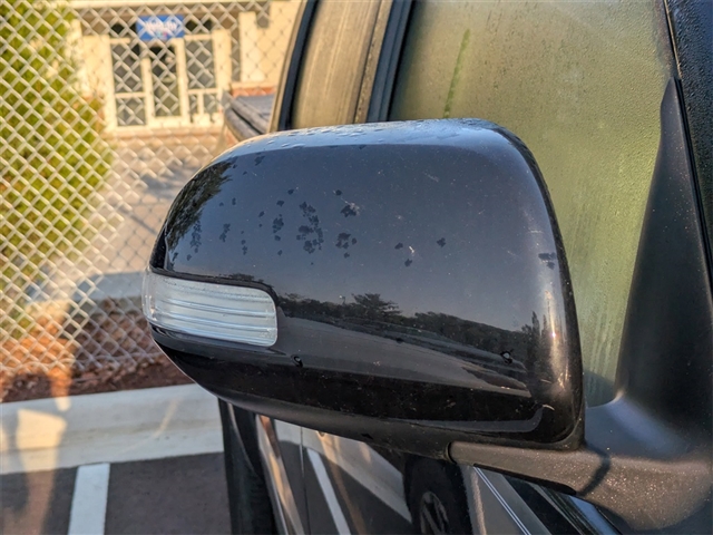2015 Toyota Tacoma PreRunner V6