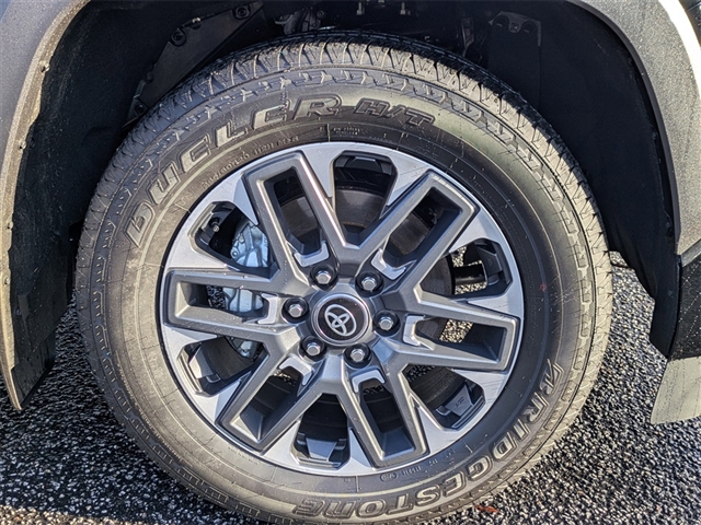 2025 Toyota Sequoia Limited