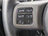 2016 Jeep Wrangler Black Bear