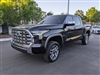 2023 Toyota Tundra 1794 Edition