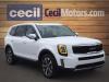 2022 Kia Telluride