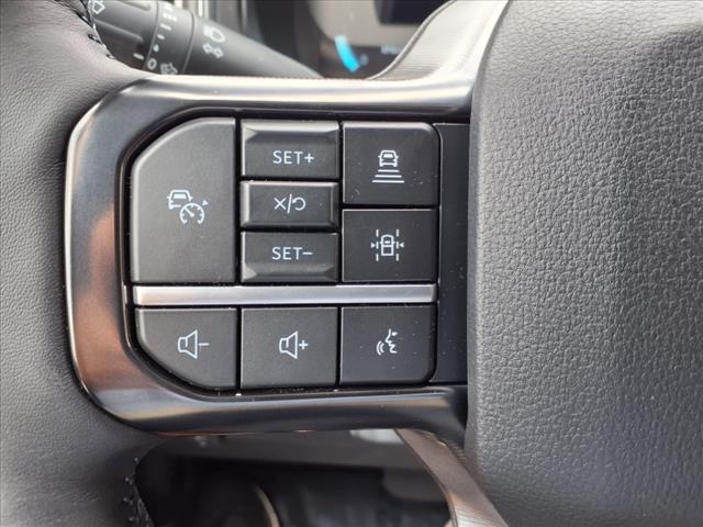 2025 Ford F-250 Super Duty 4X4 CREW CAB PICKUP/