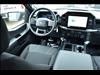 2025 Ford F-150 4X2 SUPERCREW STX -