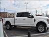 2022 Ford F-250 Super Duty Platinum - thumbnail 4