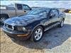 2006 Ford Mustang GT Deluxe - thumbnail 4