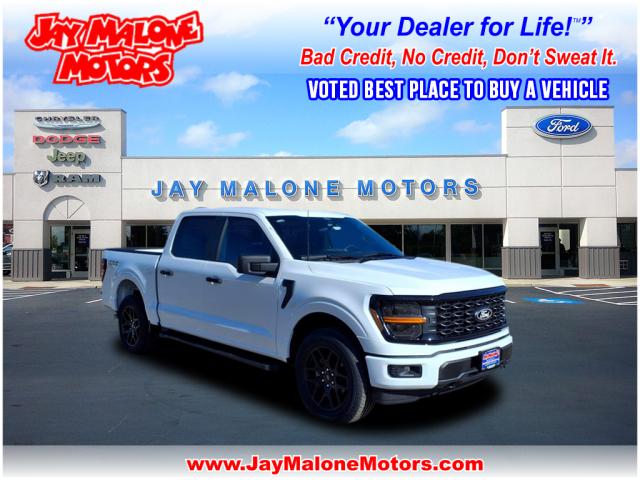 2025 Ford F-150 STX - Photo 1