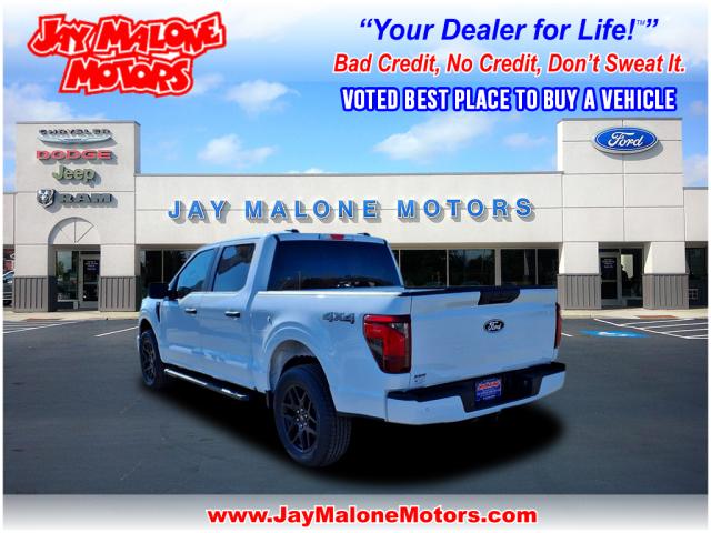 2025 Ford F-150 STX - Photo 3