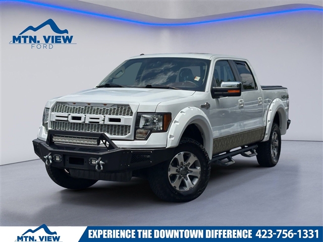 2010 Ford F-150