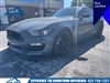 2018 Ford Mustang Shelby GT350 - thumbnail 1