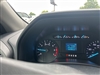 2020 Ford F-250 Super Duty XL - thumbnail 6