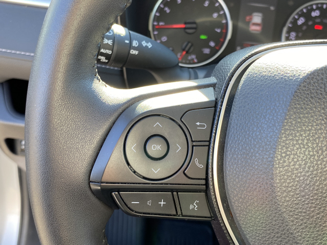 2020 Toyota RAV4 XLE - Photo 16
