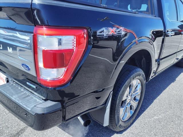 2021 Ford F-150 Platinum