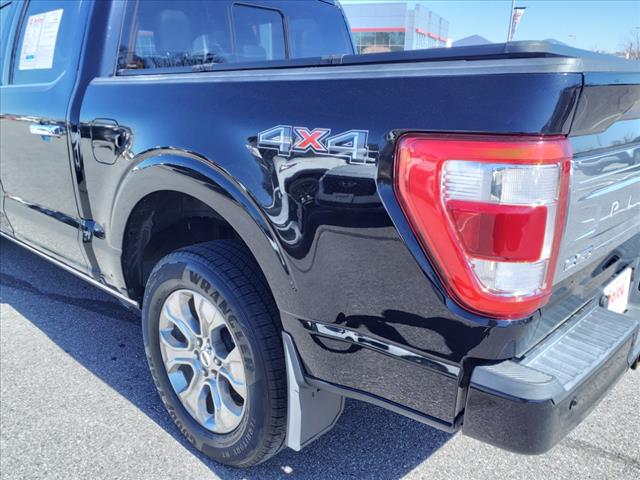 2021 Ford F-150 Platinum
