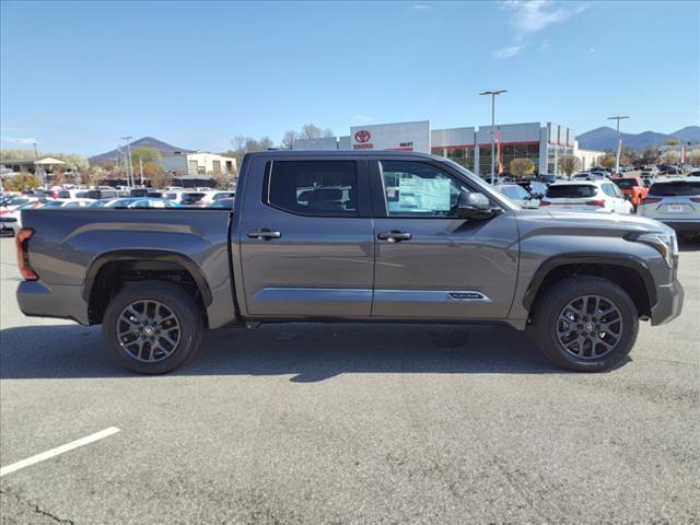 2025 Toyota Tundra Platinum