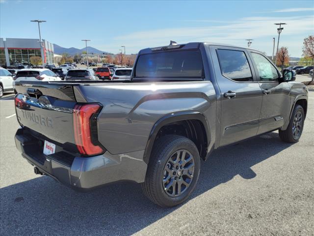 2025 Toyota Tundra Platinum