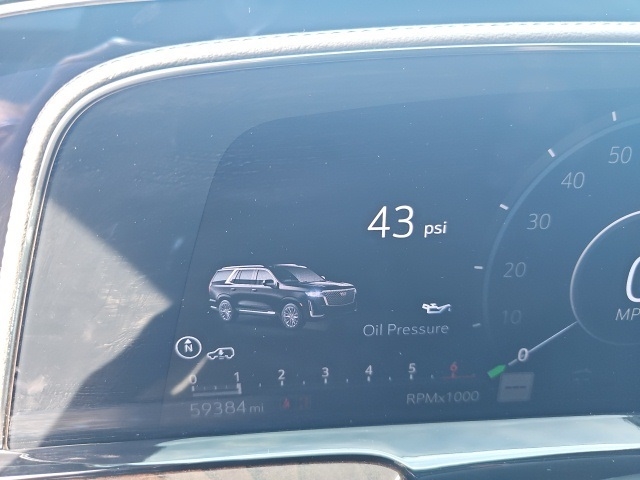 2024 Cadillac Escalade ESV Premium Luxury Platinum:25089A