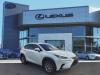 2021 Lexus NX 300h