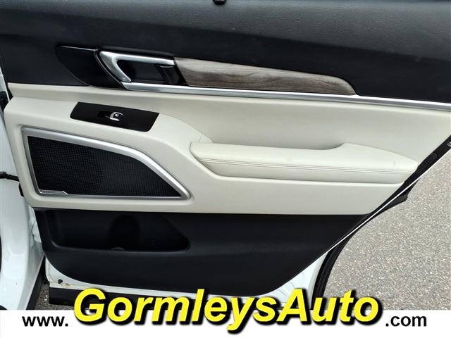 2020 Kia Telluride EX:001411P