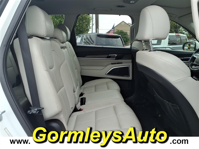 2020 Kia Telluride EX:001411P