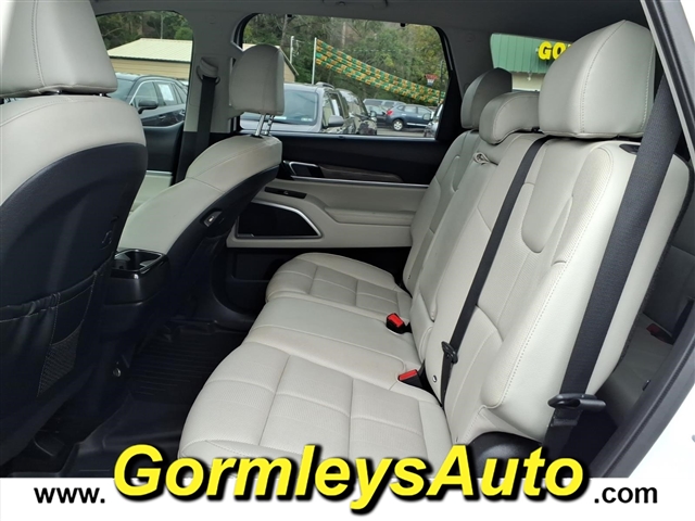 2020 Kia Telluride EX:001411P