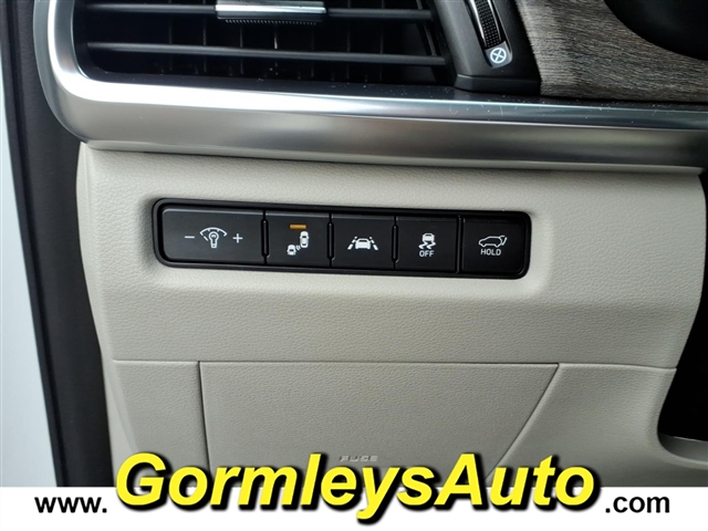 2020 Kia Telluride EX:001411P