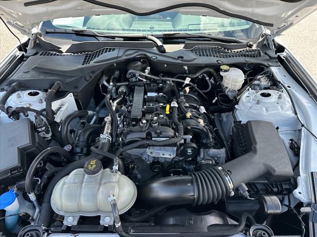 2022 Ford Mustang EcoBoost