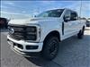 2025 Ford F-250 Super Duty Platinum