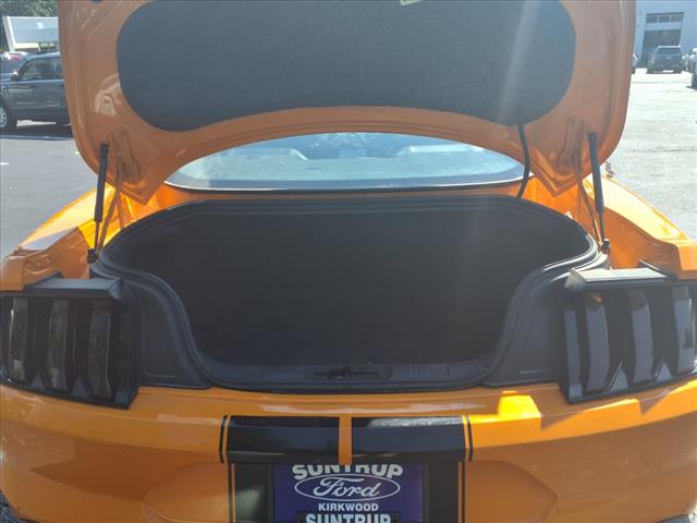 2019 Ford Mustang EcoBoost
