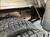2004 Chevrolet Silverado 3500 LS