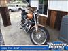 2008 Harley-Davidson 1200 1200