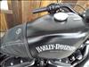 2015 Harley-Davidson xxl883 883