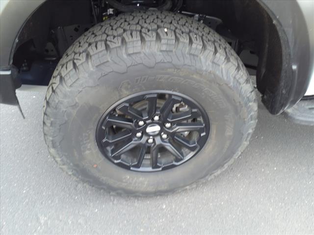 2024 Ford F-150 Raptor - Photo 10