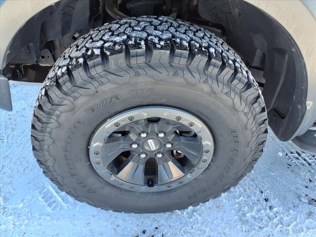 2018 Ford F-150 Raptor - Photo 10
