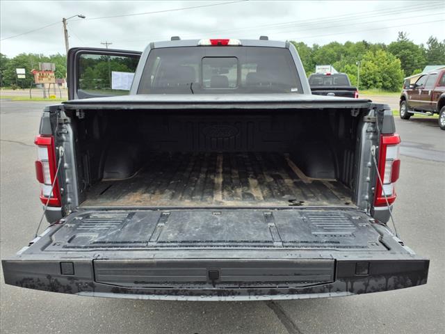 2023 Ford F-150 PLATINUM - Photo 15