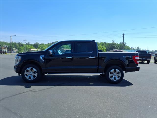 2023 Ford F-150 PLATINUM - Photo 3